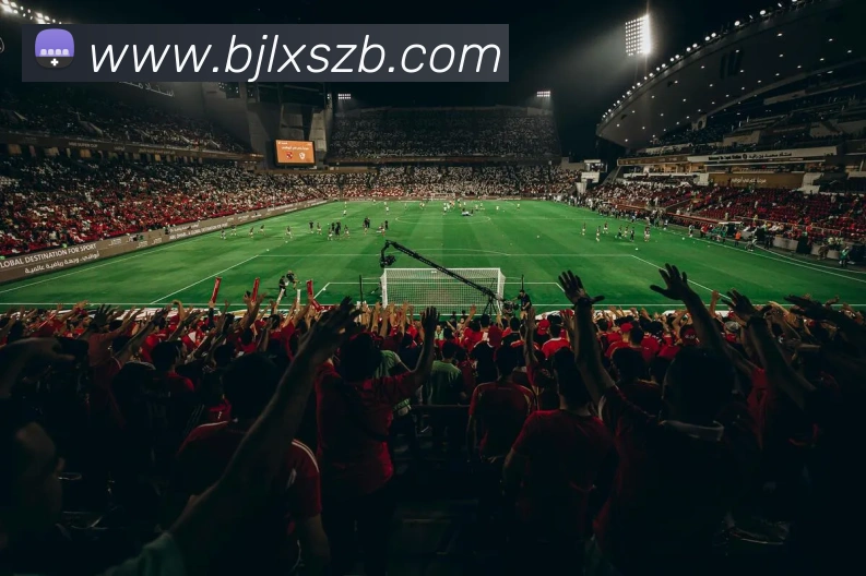 百家乐网站平台生态图